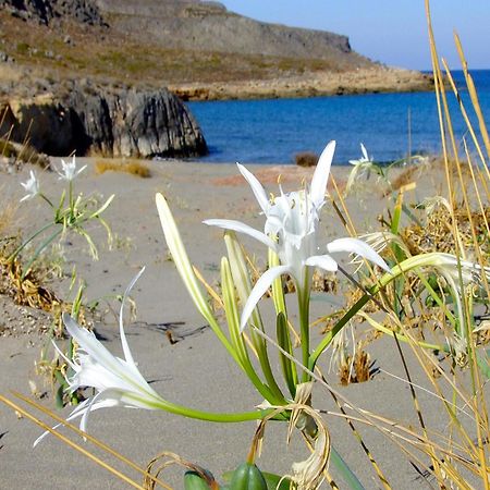 Olive Coast Suites Palekastro Exterior foto